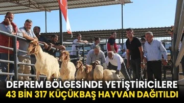Deprem bölgesinde yetiştiricilere 43 bin 317 küçükbaş hayvan dağıtıldı