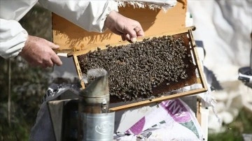 Deprem b&ouml;lgesindeki arıcılara destek