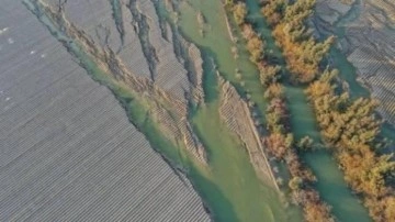 Deprem tarımı da vurdu: Y&uuml;zde 16'sı bu b&ouml;lgede