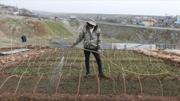Depremden etkilenen Adıyaman'da çiftçilerin mesaisi başladı