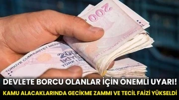 Devlete borcu olanlar için önemli uyarı! Kamu alacaklarında gecikme zammı ve tecil faizi yükseldi