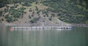 Devletin projeleriyle Şırnak’ta balık hasadı yapılıyor