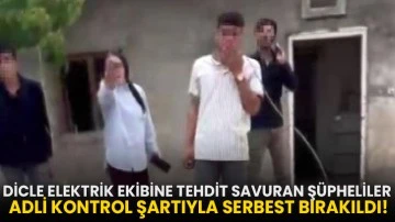 Dicle Elektrik ekibine tehdit savuran şüpheliler adli kontrol şartıyla serbest bırakıldı!