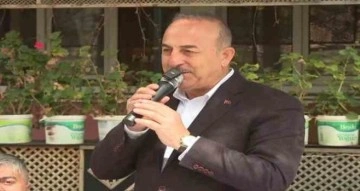 Dışişleri Bakanı Çavuşoğlu: "Türkiye’nin şahlanış dönemi başlıyor, bizi kimse tutamaz"