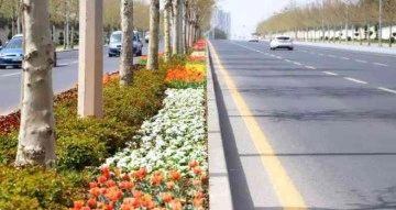 Diyarbakır 3 milyon 300 bin çiçekle rengarenk