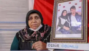Diyarbakır annelerinden evlatlarına 'teslim ol' çağrısı: Anneler artık ağlamasın