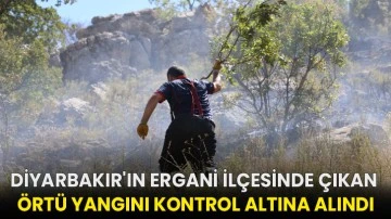 Diyarbakır'ın Ergani ilçesinde çıkan örtü yangını kontrol altına alındı!