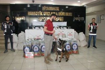 Diyarbakır merkezli 50. &lsquo;K&ouml;k&uuml;n&uuml; Kurutma Operasyonunda ele ge&ccedil;irilenler sergilendi: 215 g&ouml;zaltı