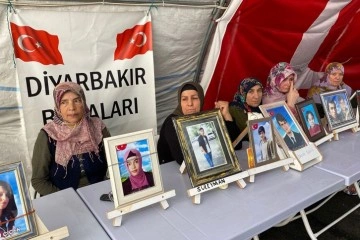 Diyarbakır'da aileler bin 9 gündür evlatlarını yolunu gözlüyor