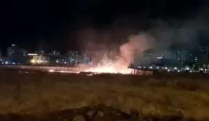 Diyarbakır'da atılan 'havai fişek' yangın çıkardı