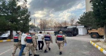 Diyarbakır’da büyükbaş hayvan hırsızları tutuklandı