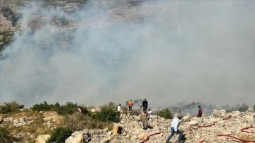 Diyarbakır'da çıkan orman yangınına karadan ve havadan müdahale ediliyor