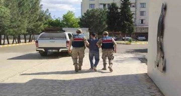 Diyarbakır’da firari hükümlü jandarma ekipleri tarafından yakalandı