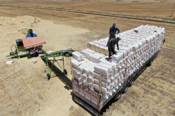 Diyarbakır’da hava sıcaklığı 35 derece üzeri gösterirken onlar tonlarca saman presliyor