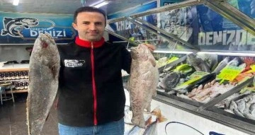 Diyarbakır’da havaların soğuması ile ciğer ve kebabın yerini balık aldı