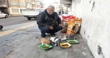 Diyarbakır’da hayırseverler destek veriyor, sokak hayvanları mamasız kalmıyor