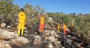 Diyarbakır’da iki ayrı anız yangını ormanlık alana sıçradı