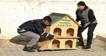 Diyarbakır’da sokak hayvanları için 200 adet ev yerleştirildi