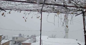 Diyarbakır’da yılın ilk karı her yeri beyaza bürüdü