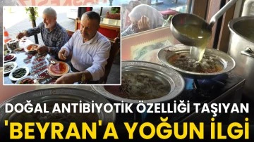 Doğal antibiyotik &ouml;zelliği taşıyan 'Beyran'a yoğun ilgi