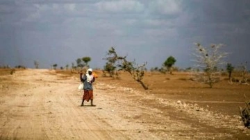 Doğu Afrika&rsquo;da kuraklık 36,1 milyon kişiyi etkiledi