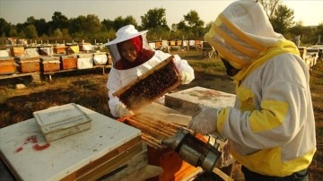 Doğu Karadeniz'den ge&ccedil;en yıl 2 milyon doları aşkın bal ihra&ccedil; edildi