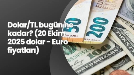 Dolar/TL bugün ne kadar? (20 Ekim 2025 dolar - Euro fiyatları)