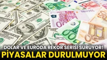 Dolar ve euroda rekor serisi sürüyor! Piyasalar durulmuyor
