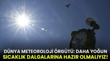 Dünya Meteoroloji Örgütü: Daha yoğun sıcaklık dalgalarına hazır olmalıyız!