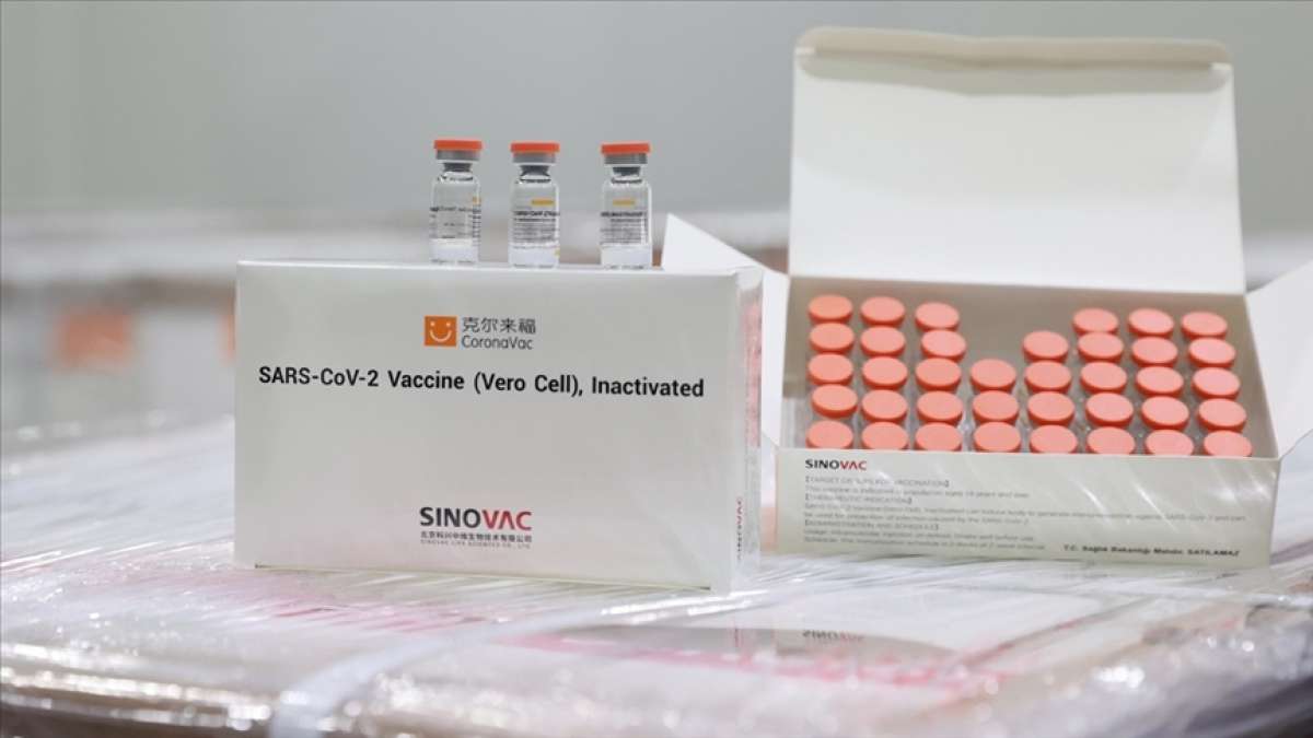 Dünya Sağlık Örgütü Çin'in geliştirdiği Sinovac aşısının acil kullanımına onay verdi