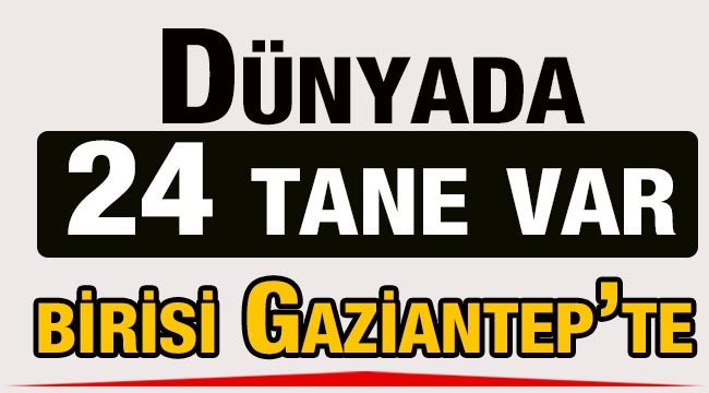 Dünyada 24 tane var, birisi Gaziantep’te