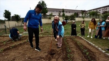 Düzce'de gençlerin elinde yeşeren ata tohumları yurt bahçesinde toprakla buluştu