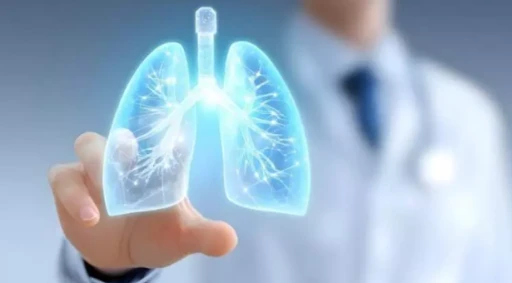 Eczaneye Değil Mutfağa Bakın: Akciğerleri Adeta Filtre Gibi Arındıran Doğal Besinler