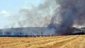 Edirne'de 250 dönüm buğday tarlası yandı