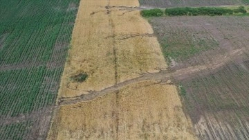 Edirne'de dolu ve sağanak kentin kuzeyindeki ekili tarım arazilerine zarar verdi