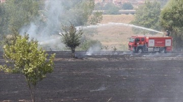 Edirne'de otluk alanda çıkan yangın söndürüldü