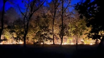Edirne'de sınır hattındaki ormanlık alanda çıkan yangın söndürüldü