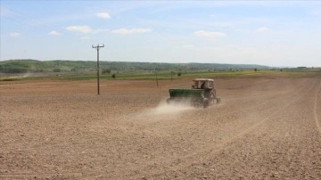 Edirne'de üreticilere 5 bin 200 kilo sertifikalı çeltik tohumu dağıtıldı