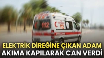 Elektrik Direğine Çıkan Adam Akıma Kapılarak Can Verdi