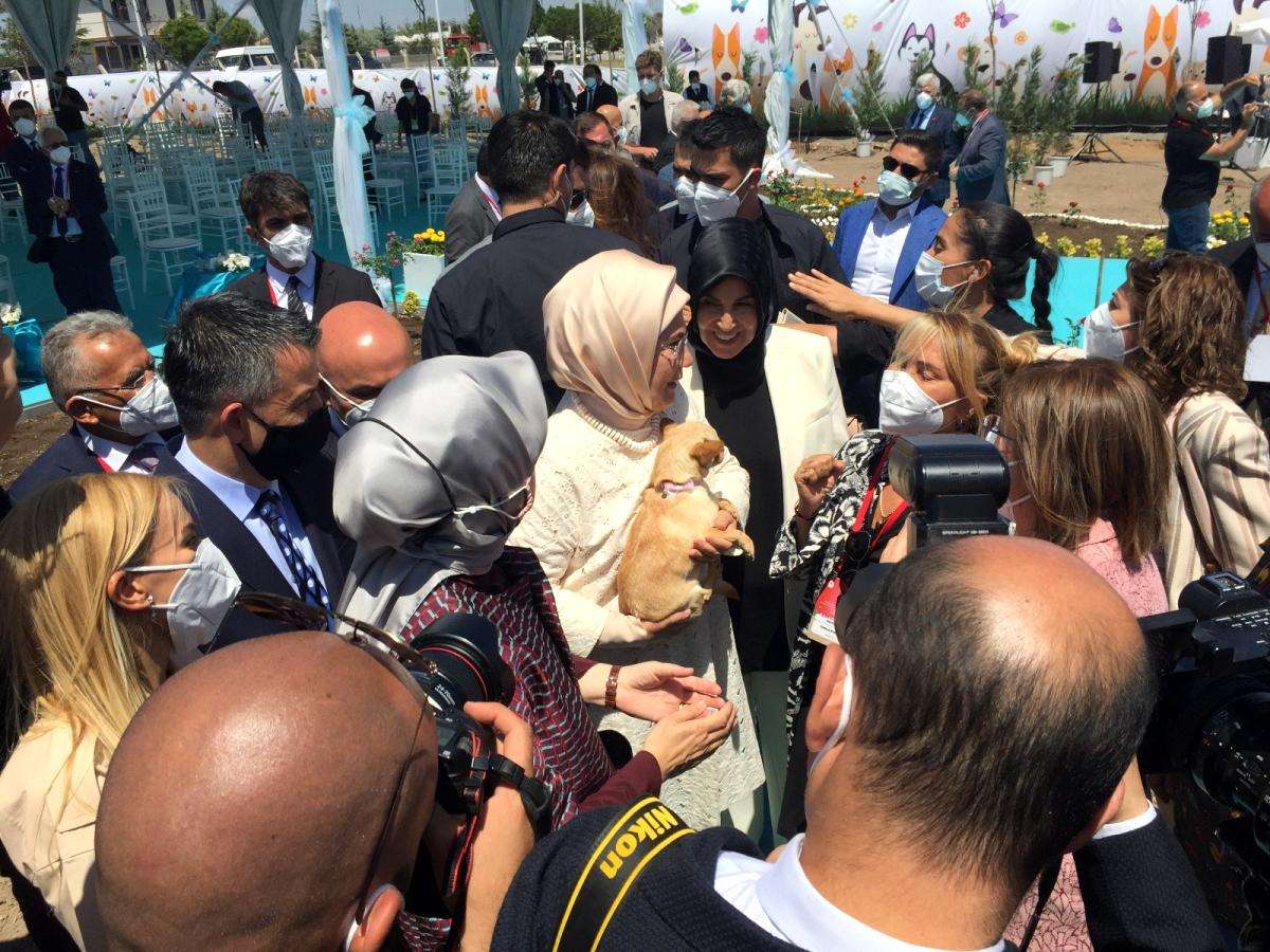 Emine Erdoğan, 'Enpati Hayvan Dostu Şehirler' ödül töreninde konuştu Açıklaması