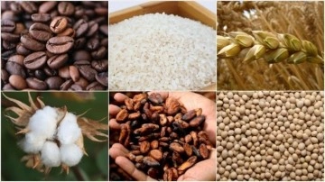 Emtia piyasası ekonomik aktiviteye ilişkin iyimserlikle ge&ccedil;en hafta pozitif seyretti