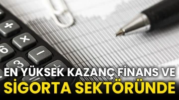 En yüksek kazanç finans ve sigorta sektöründe