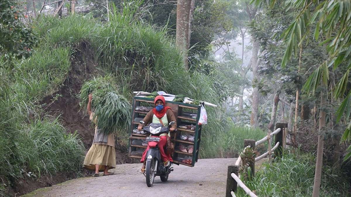 Endonezya'da yanardağ eteğinde kalan halk zorlu yaşam sürüyor