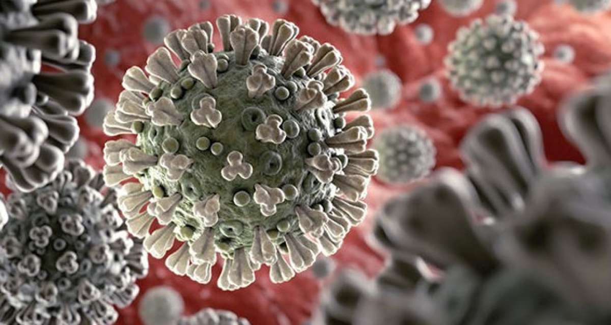 Endonezya'da yeni korona virüs mutasyonu ortaya çıktı