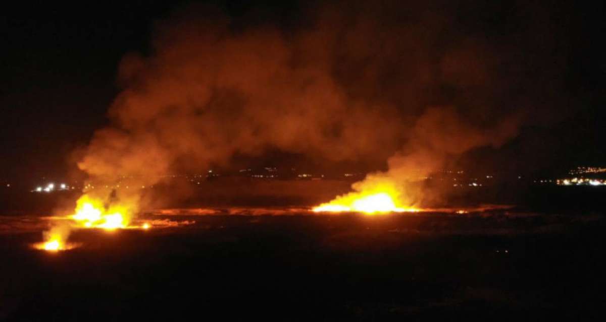 Erzincan'da kuş cennetinde yangın