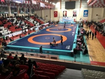 Erzincanlı güreşçiler Türkiye Serbest Güreş Şampiyonasında ter döktü