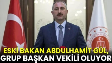 Eski Bakan Abdulhamit Gül, Grup Başkan Vekili Oluyor