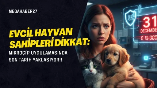 Evcil hayvan sahipleri dikkat: Mikroçip uygulamasında son tarih yaklaşıyor!!