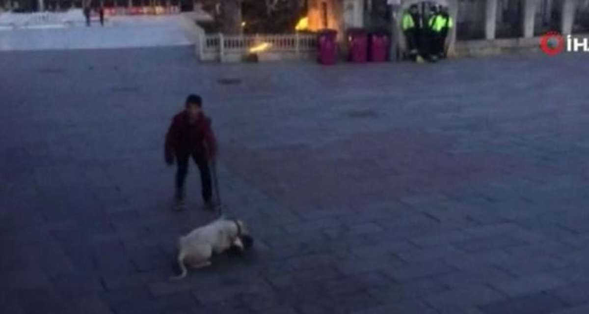 Eyüpsultan Meydanı'nda pitbull dehşeti