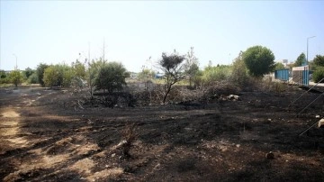 Fethiye'de otluk ve sazlık alanda çıkan yangın söndürüldü